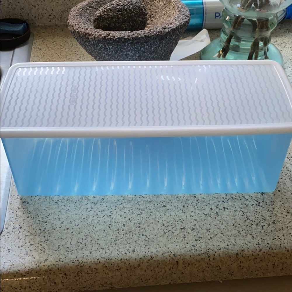 Tupperware FridgeSmart Food container
